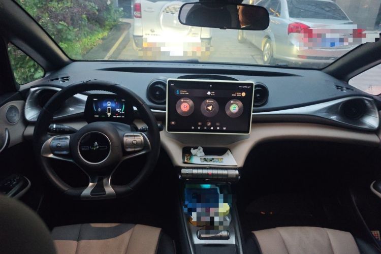 Used BYD Dolphin 2023 420 km Fashion Edition Center Console