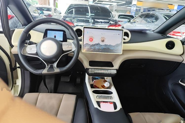 Used BYD Dolphin 2023 420 km Fashion Edition Center Console