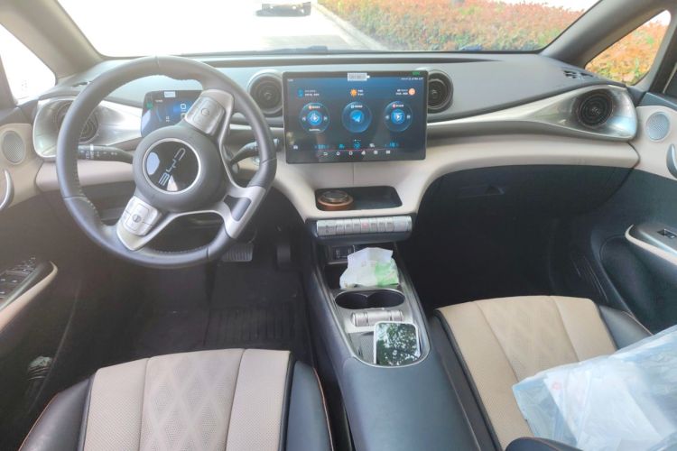 Used BYD Dolphin 2023 420 km Fashion Edition Center Console