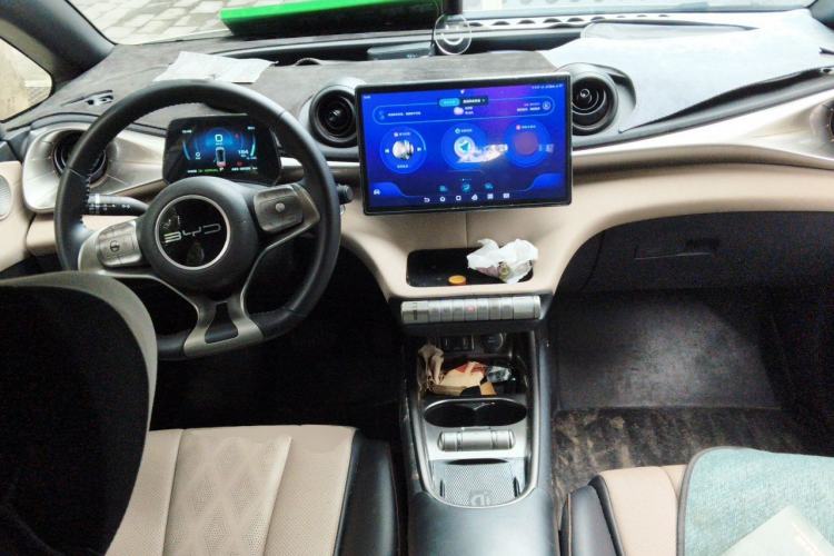 Used BYD Dolphin 2023 420 km Fashion Edition Center Console