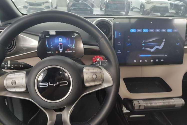 Used BYD Dolphin 2023 420 km Fashion Edition Center Console