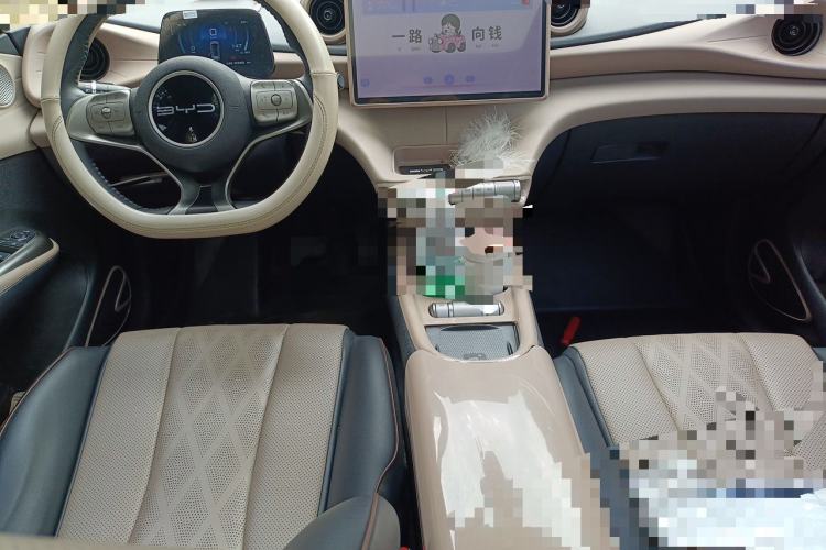 Used BYD Dolphin 2023 420 km Fashion Edition Center Console