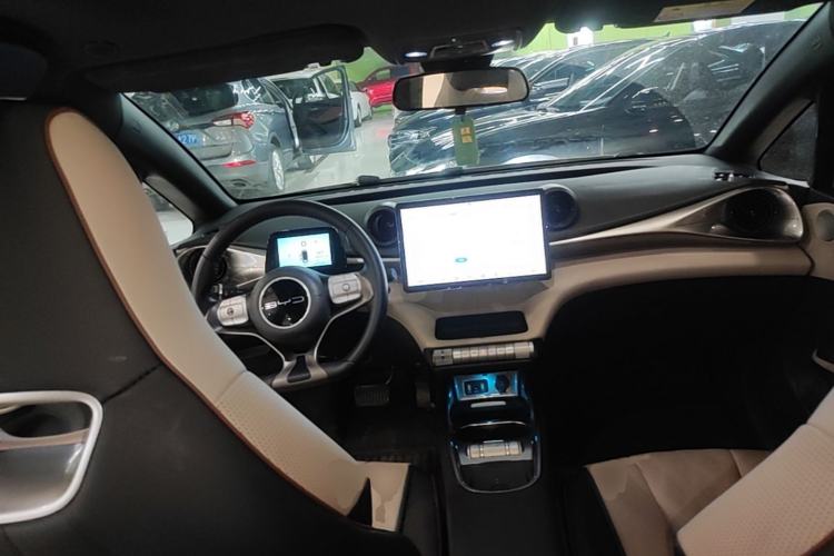 Used BYD Dolphin 2023 420 km Fashion Edition Center Console