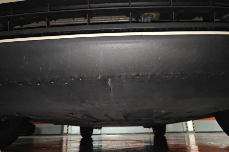 Used BYD Dolphin 2023 420 km Free Version Chassis Front