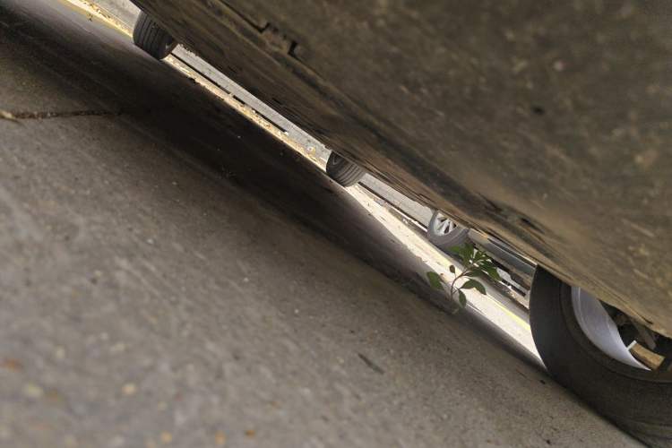 Used BYD Dolphin 2023 420 km Fashion Edition Chassis Front