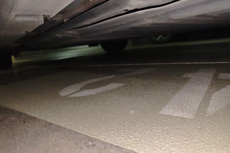 Used BYD Dolphin 2023 420 km Fashion Edition Chassis Rear Left