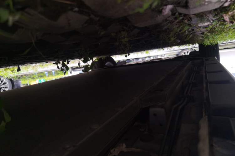 Used BYD Dolphin 2023 420 km Free Version Chassis Rear Left