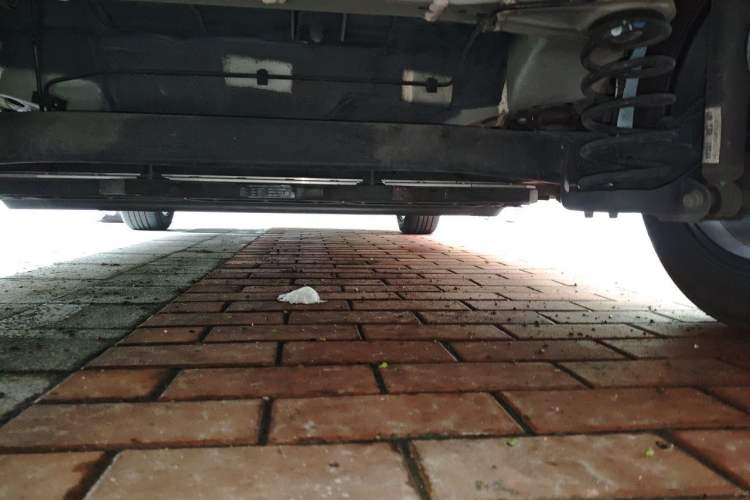 Used BYD Dolphin 2023 420 km Fashion Edition Chassis Rear