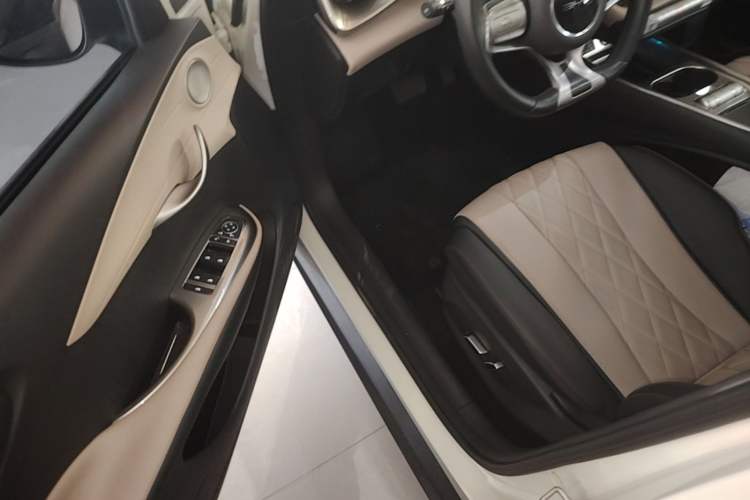 Used BYD Dolphin 2023 420 km Free Version Driver Seat
