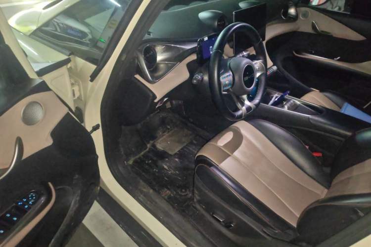Used BYD Dolphin 2023 420 km Fashion Edition Driver Seat