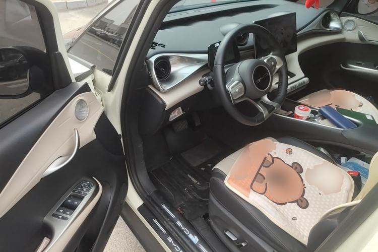 Used BYD Dolphin 2023 420 km Fashion Edition Driver Seat