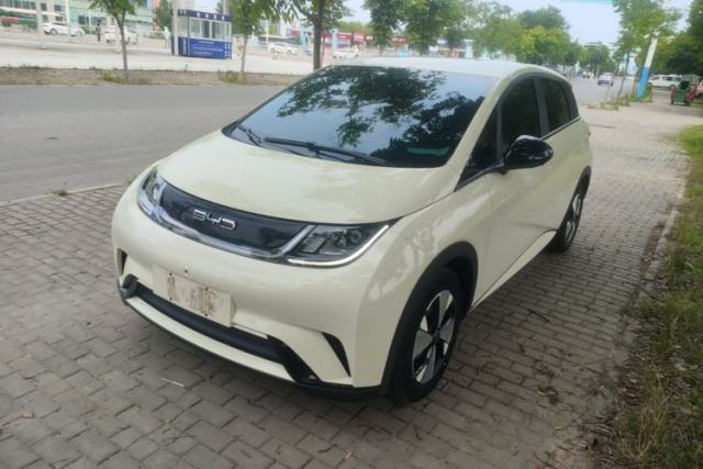 Used BYD Dolphin 2023 420 km Free Version