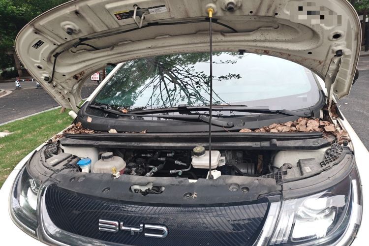 Used BYD Dolphin 2023 420 km Fashion Edition Engine Bay