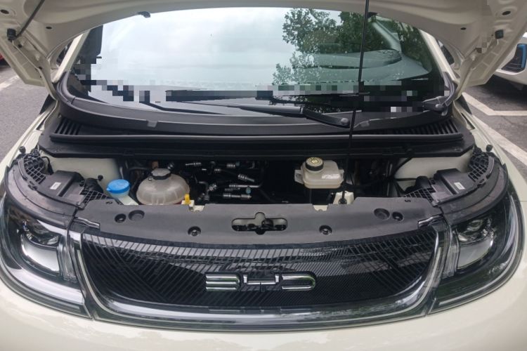 Used BYD Dolphin 2023 420 km Fashion Edition Engine Bay