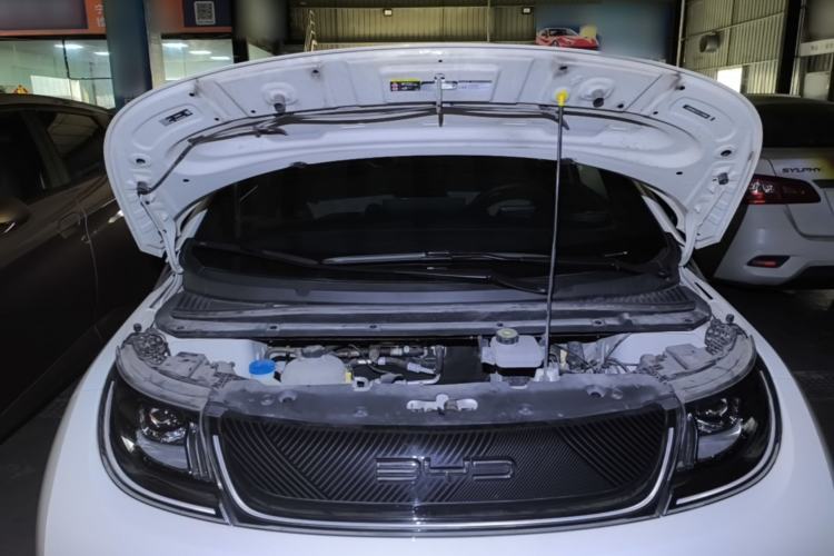 Used BYD Dolphin 2023 420 km Free Version Engine Bay