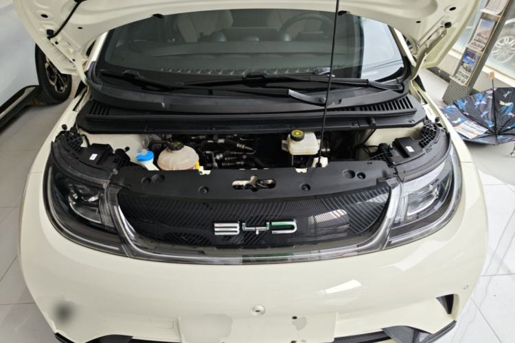Used BYD Dolphin 2023 420 km Fashion Edition Engine Bay