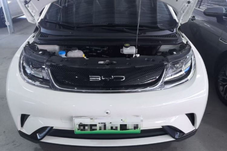 Used BYD Dolphin 2023 420 km Free Version Engine Bay
