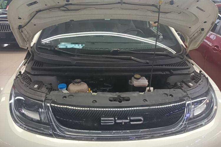 Used BYD Dolphin 2023 420 km Fashion Edition Engine Bay