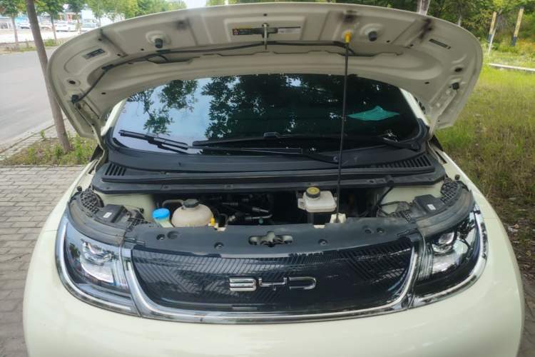 Used BYD Dolphin 2023 420 km Free Version Engine Bay