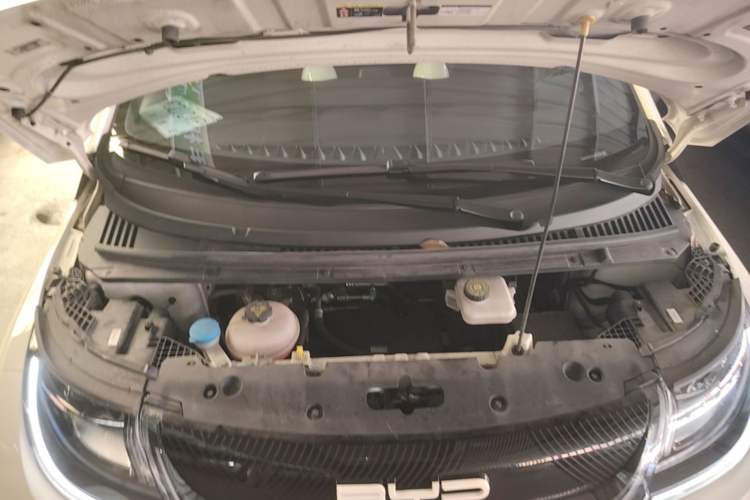 Used BYD Dolphin 2023 420 km Free Version Engine Bay