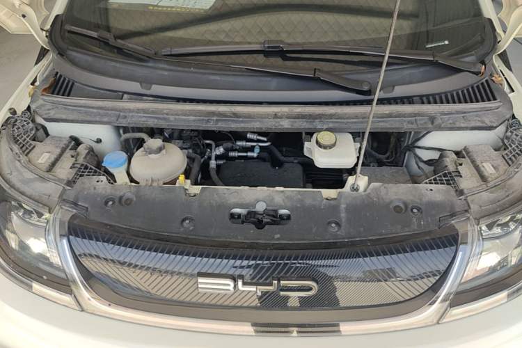 Used BYD Dolphin 2023 420 km Free Version Engine Bay
