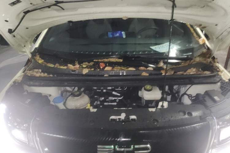 Used BYD Dolphin 2023 420 km Fashion Edition Engine Bay