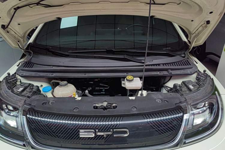Used BYD Dolphin 2023 420 km Free Version Engine Bay