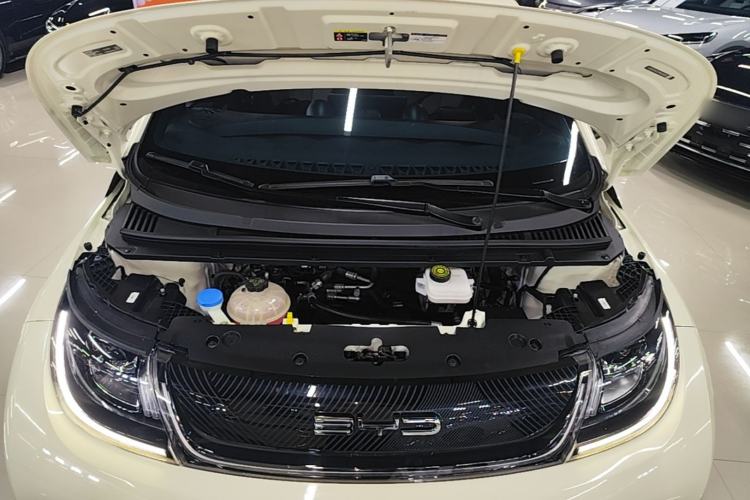 Used BYD Dolphin 2023 420 km Free Version Engine Bay