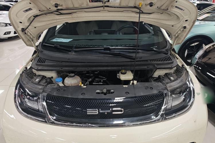 Used BYD Dolphin 2023 420 km Free Version Engine Bay