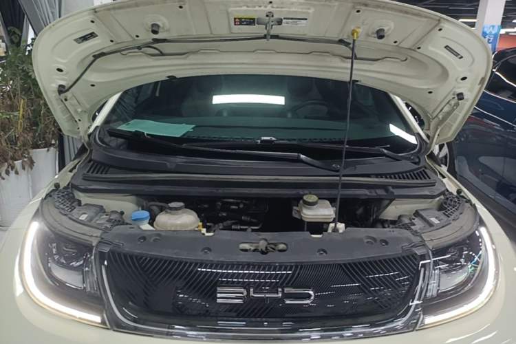 Used BYD Dolphin 2023 420 km Fashion Edition Engine Bay