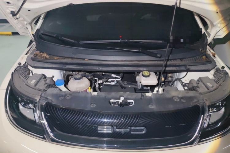 Used BYD Dolphin 2023 420 km Free Version Engine Bay