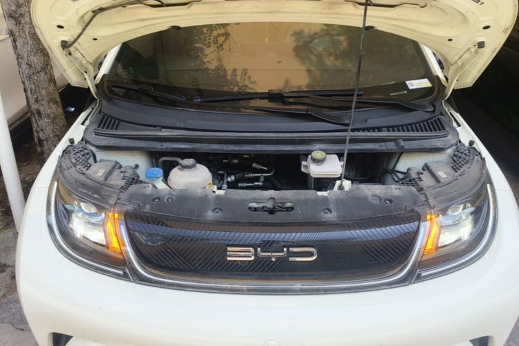Used BYD Dolphin 2023 420 km Free Version Engine Bay