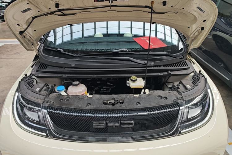 Used BYD Dolphin 2023 420 km Free Version Engine Bay