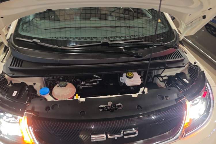 Used BYD Dolphin 2023 420 km Free Version Engine Bay