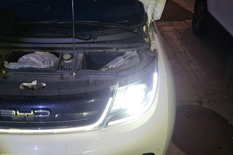 Used BYD Dolphin 2023 420 km Fashion Edition Engine Bay Left