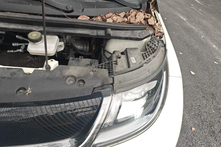 Used BYD Dolphin 2023 420 km Fashion Edition Engine Bay Left