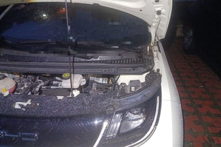 Used BYD Dolphin 2023 420 km Fashion Edition Engine Bay Left