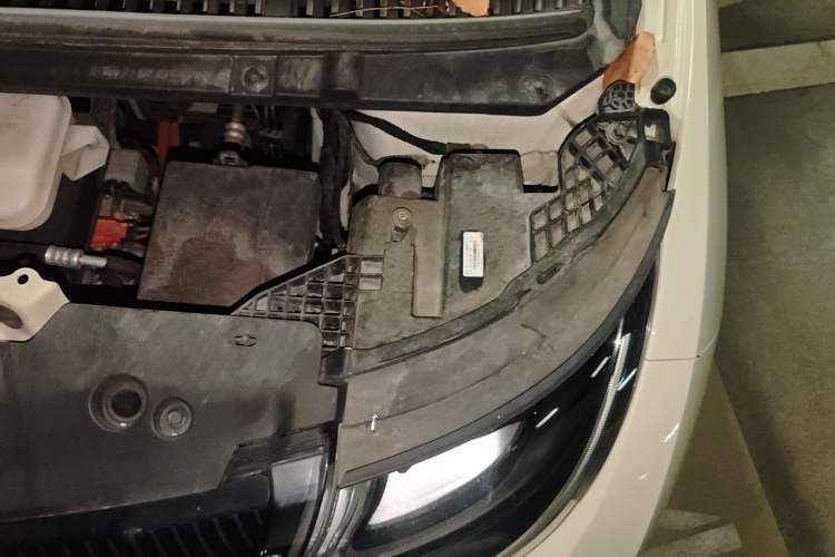 Used BYD Dolphin 2023 420 km Fashion Edition Engine Bay Left