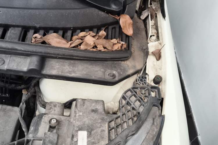 Used BYD Dolphin 2023 420 km Fashion Edition Engine Bay Left