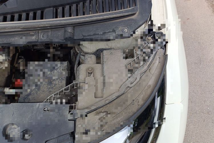 Used BYD Dolphin 2023 420 km Fashion Edition Engine Bay Left