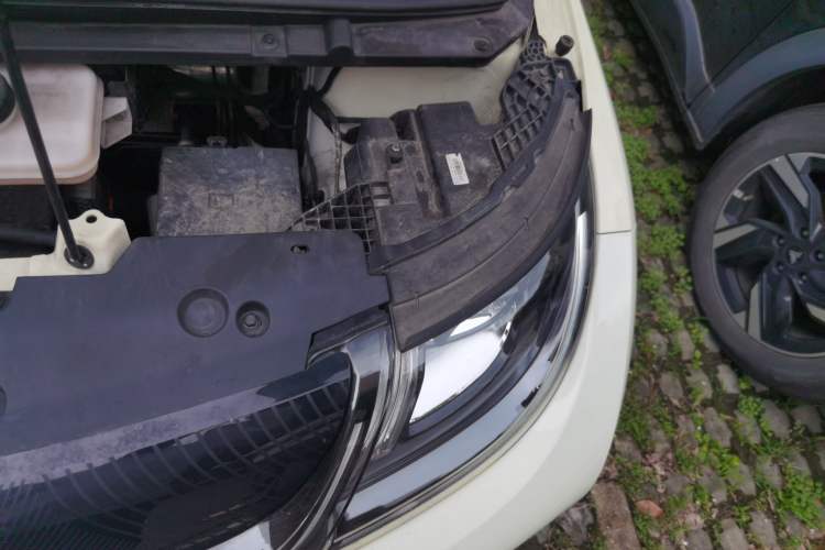 Used BYD Dolphin 2023 420 km Free Version Engine Bay Left