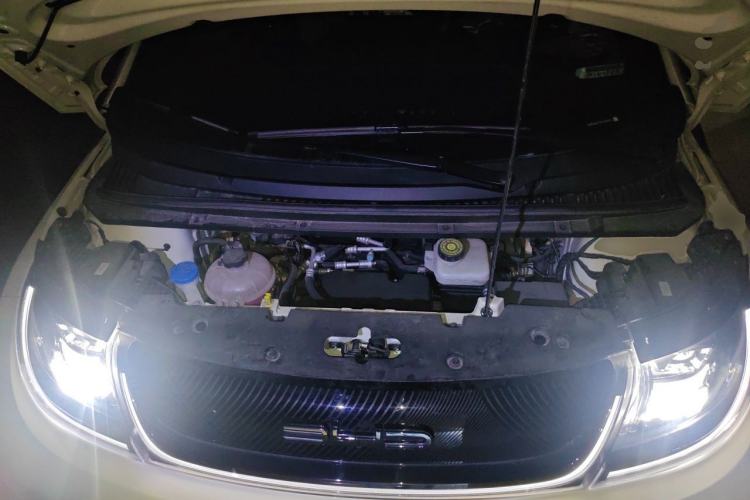 Used BYD Dolphin 2023 420 km Free Version Engine Bay