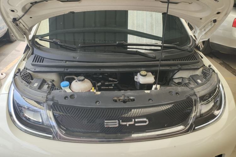 Used BYD Dolphin 2023 420 km Free Version Engine Bay