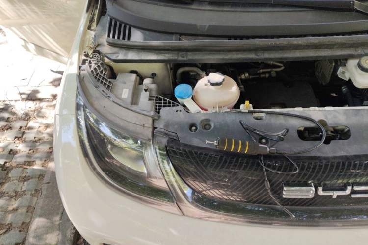 Used BYD Dolphin 2023 420 km Fashion Edition Engine Bay Right