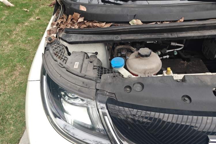 Used BYD Dolphin 2023 420 km Fashion Edition Engine Bay Right