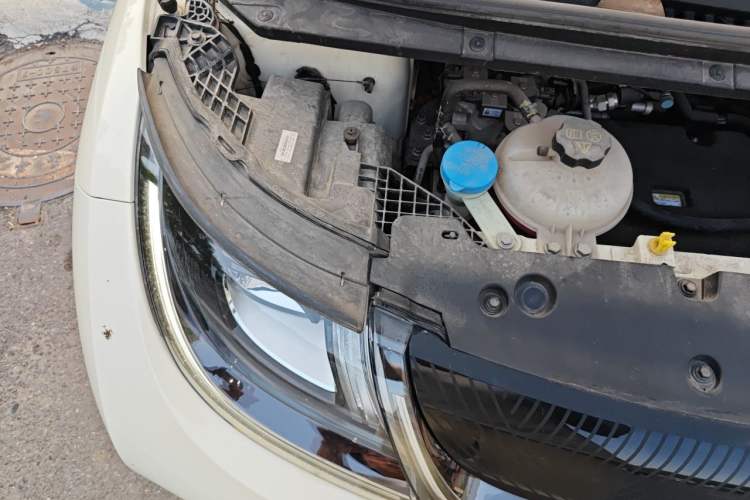 Used BYD Dolphin 2023 420 km Free Version Engine Bay Right