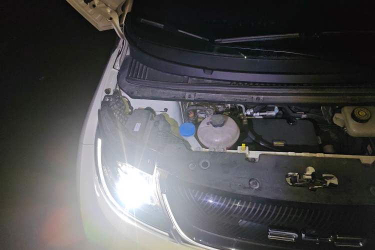 Used BYD Dolphin 2023 420 km Free Version Engine Bay Right