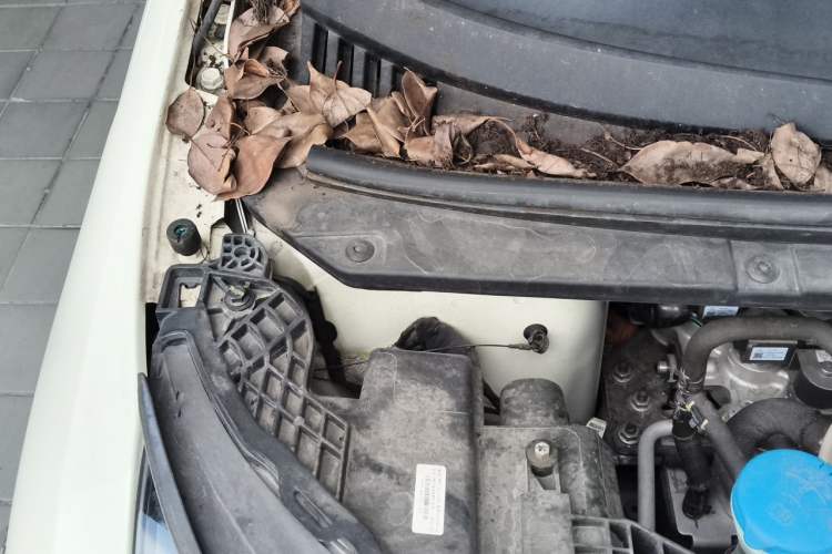 Used BYD Dolphin 2023 420 km Fashion Edition Engine Bay Right