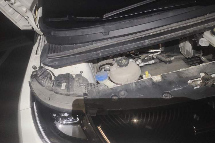 Used BYD Dolphin 2023 420 km Free Version Engine Bay Right