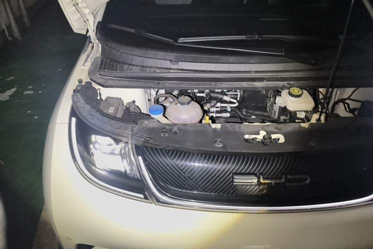 Used BYD Dolphin 2023 420 km Fashion Edition Engine Bay Right